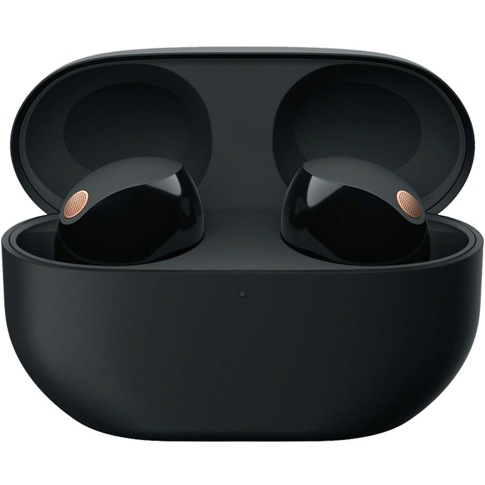 Buy Sony WF-1000XM5 Truly Wireless Noise Canceling Earbuds - Black